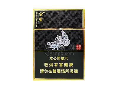 金圣(智圣出山双中支)