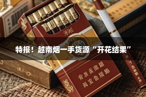 特报！越南烟一手货源“开花结果”
